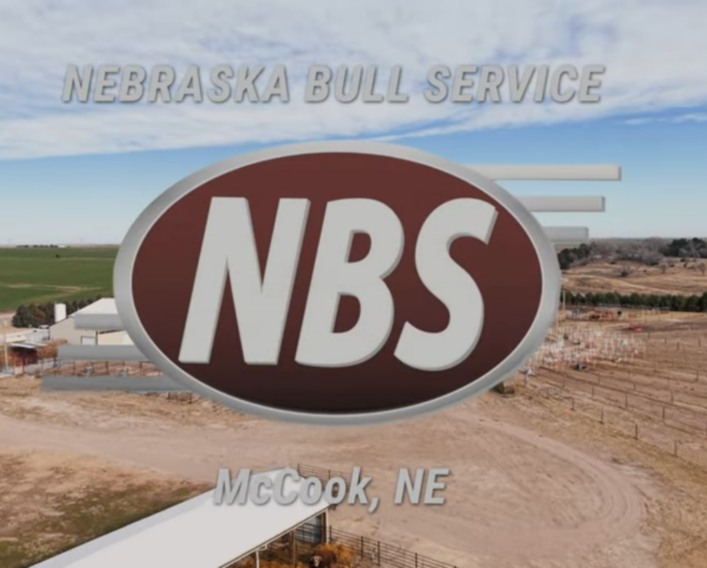 Nebraska Bull Service